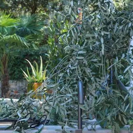 Casa Saint Antonio Apartment Rovinj